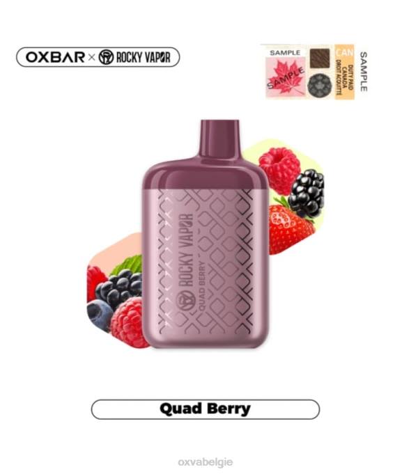 OXVA OXBAR 4500 P2NF31 viervoudige bes - OXVA Vape Antwerpen